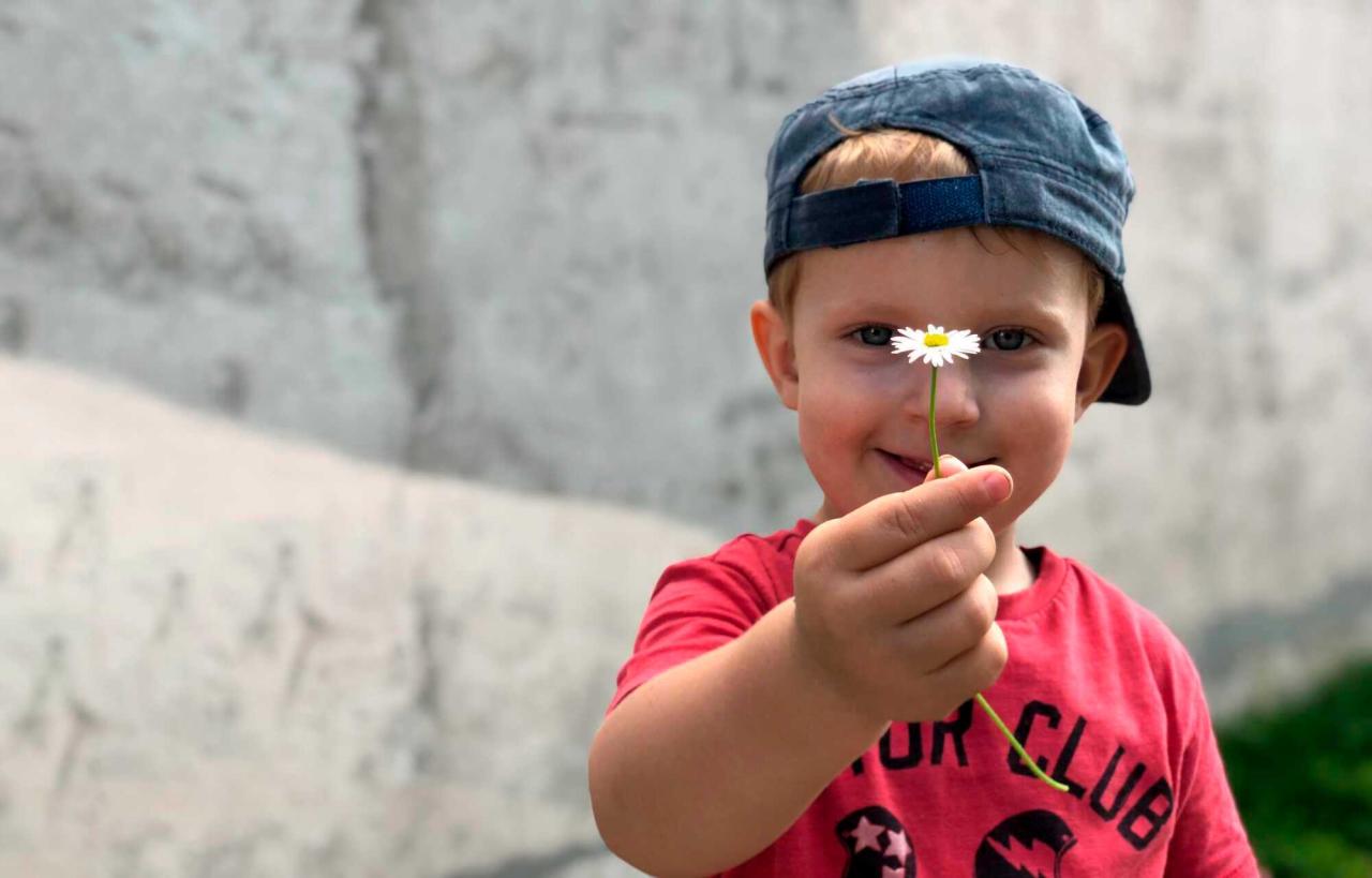 Die magische Welt der Bienen: Malen und Entdecken mit Kindern