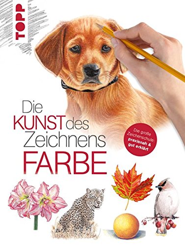 Die Magie des Zeichnens: Mit Hunden auf Entdeckungsreise