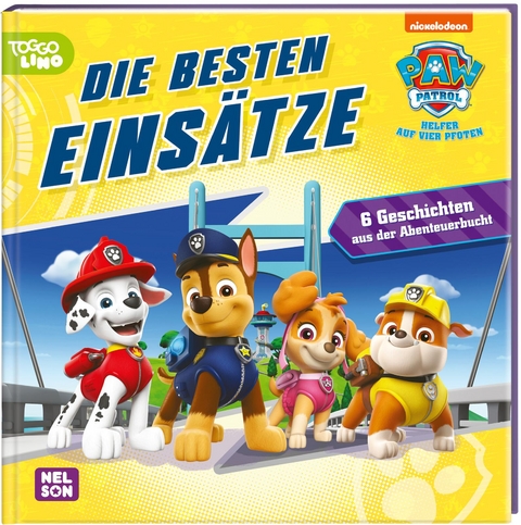 Die Paw Patrol malt sich durch den Tag: Ein Zeichenlehrer erzählt