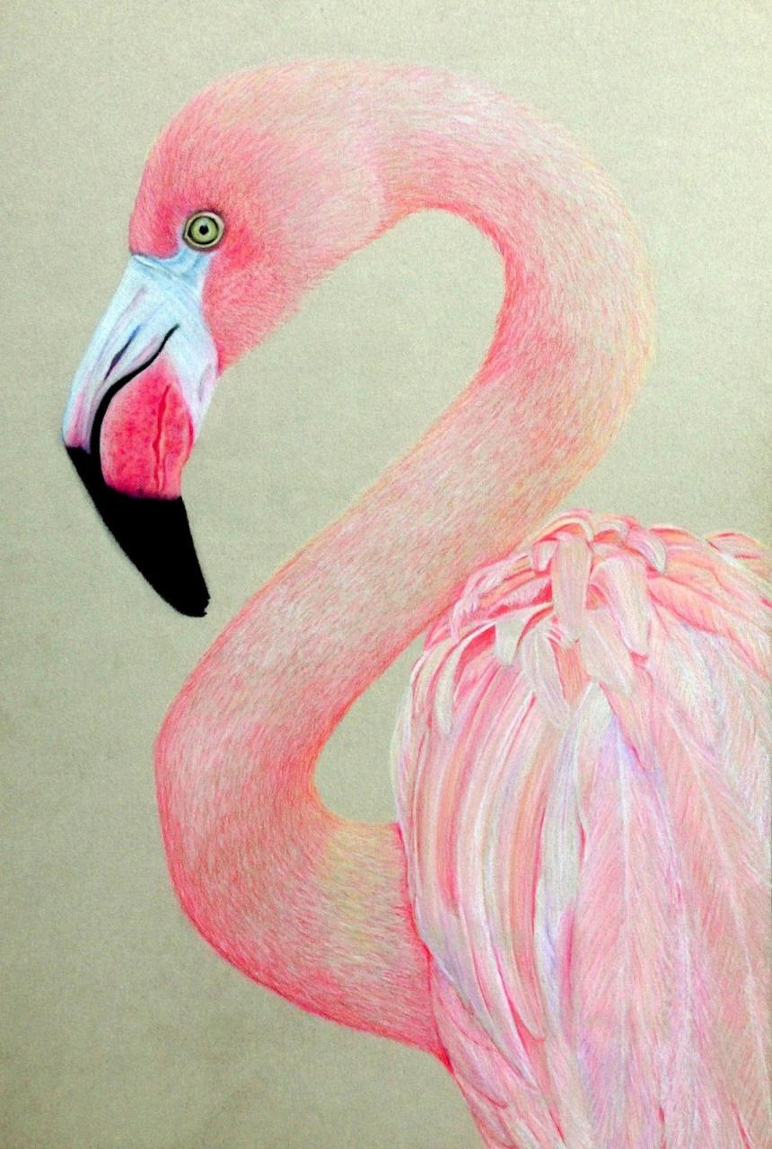 Die Magie des Zeichnens: Flamingos, Farben und Fantasie