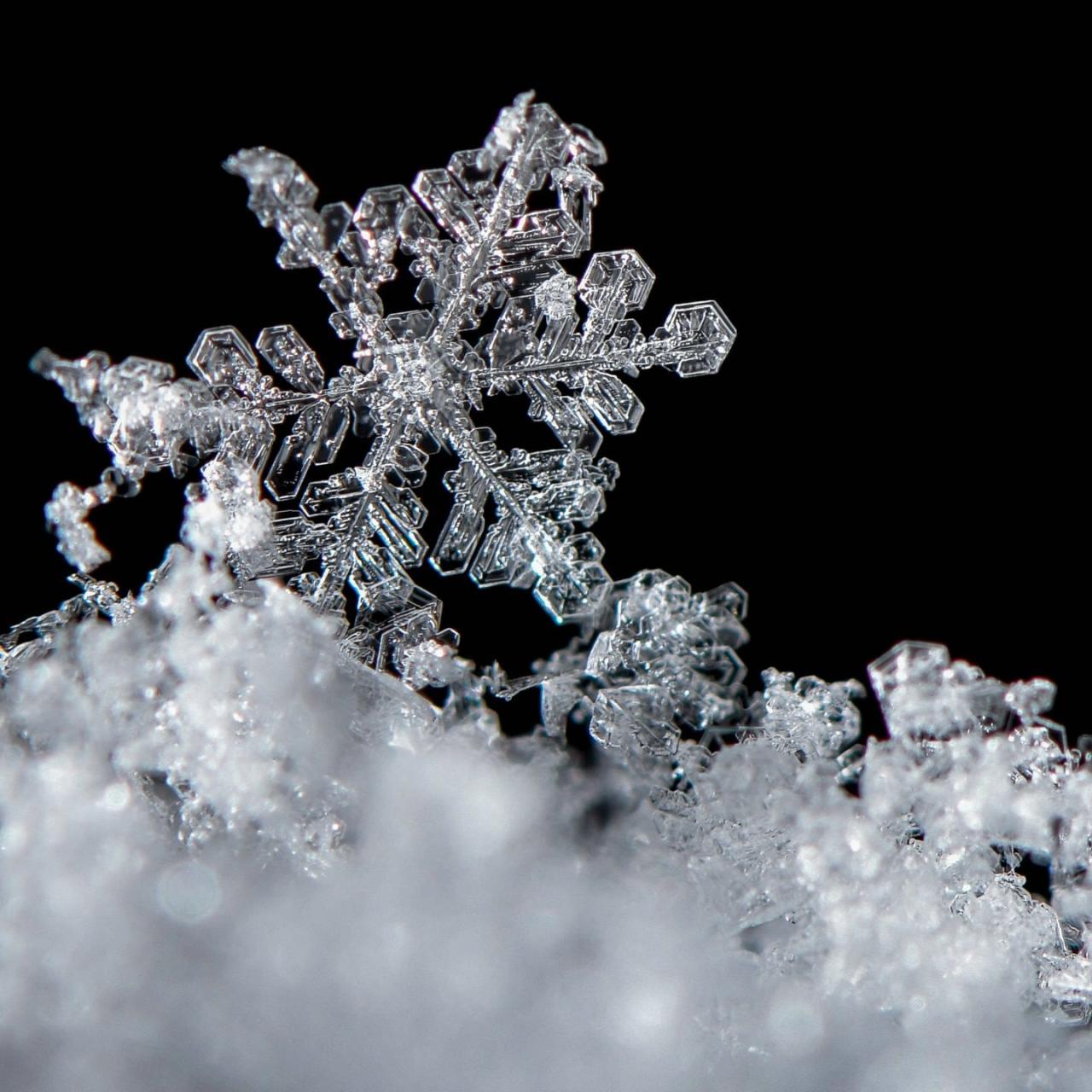 Die Magie der Schneeflocken: Ein Zeichenlehrer erzählt