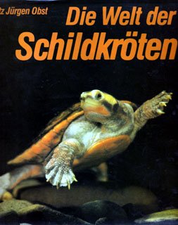 Die Welt der Schildkröten: Ein Ausmalabenteuer für kleine Künstler