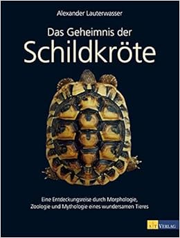 Die Magie der Schildkröte: Eine Reise durch die Welt des Zeichnens