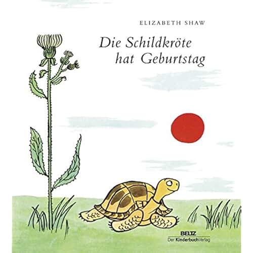 Die Magie der Schildkröte: Eine Reise durch die Welt des Zeichnens