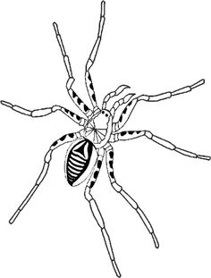 Die Faszination der Achtbeiner: Ausmalbilder Spinne für kleine Künstler