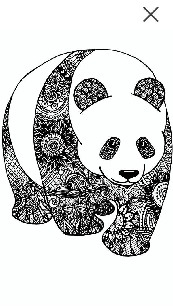 Die Magie des Zeichnens: Ein Panda als Türöffner zur Kreativität