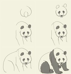 Die Magie des Zeichnens: Ein Panda als Türöffner zur Kreativität