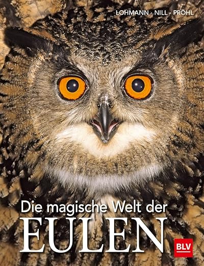 Die magische Welt der Eulen: Ein Ausflug in die Kunst des Malens