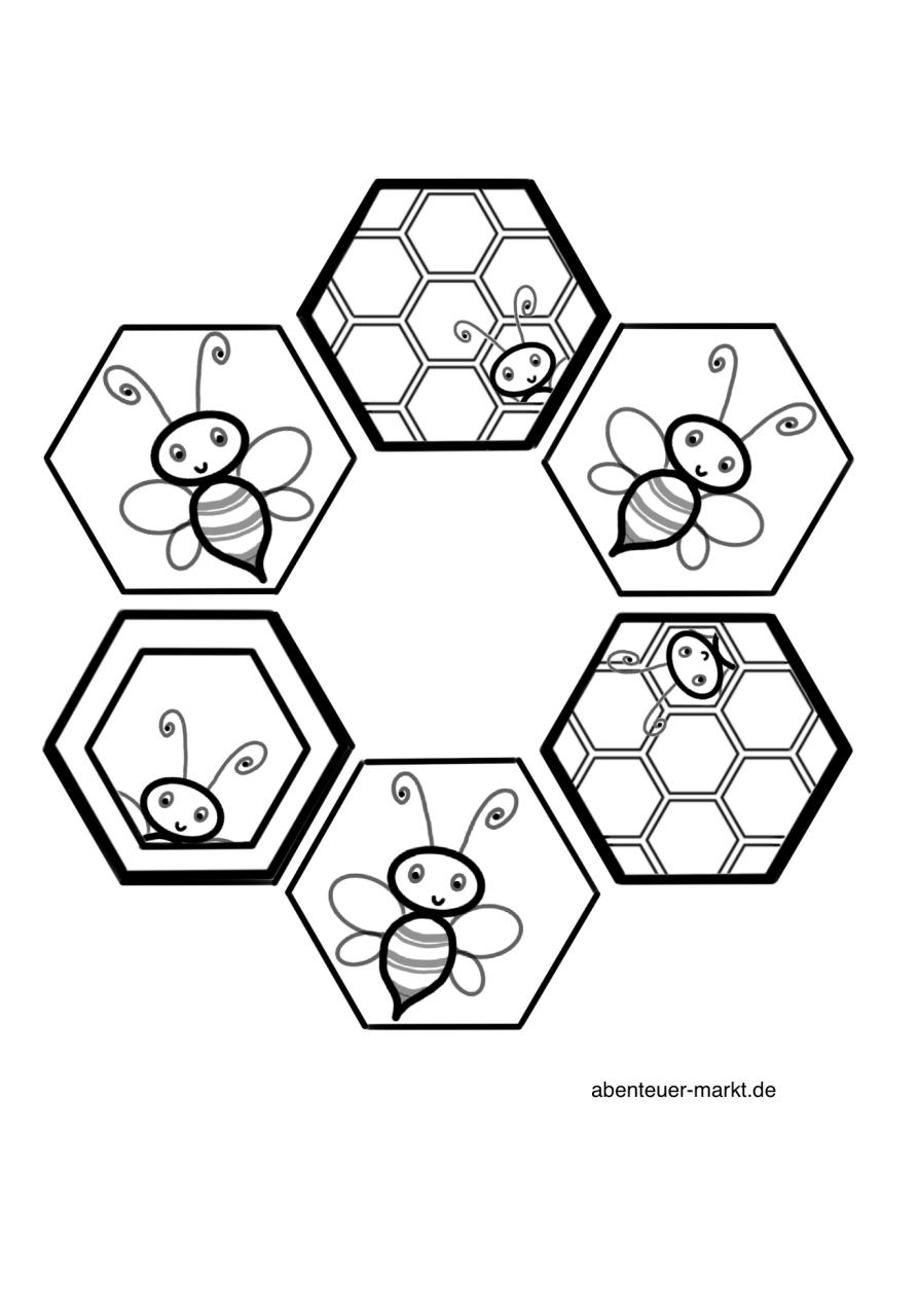 Die Welt der Bienen - Ein Abenteuer zum Ausmalen