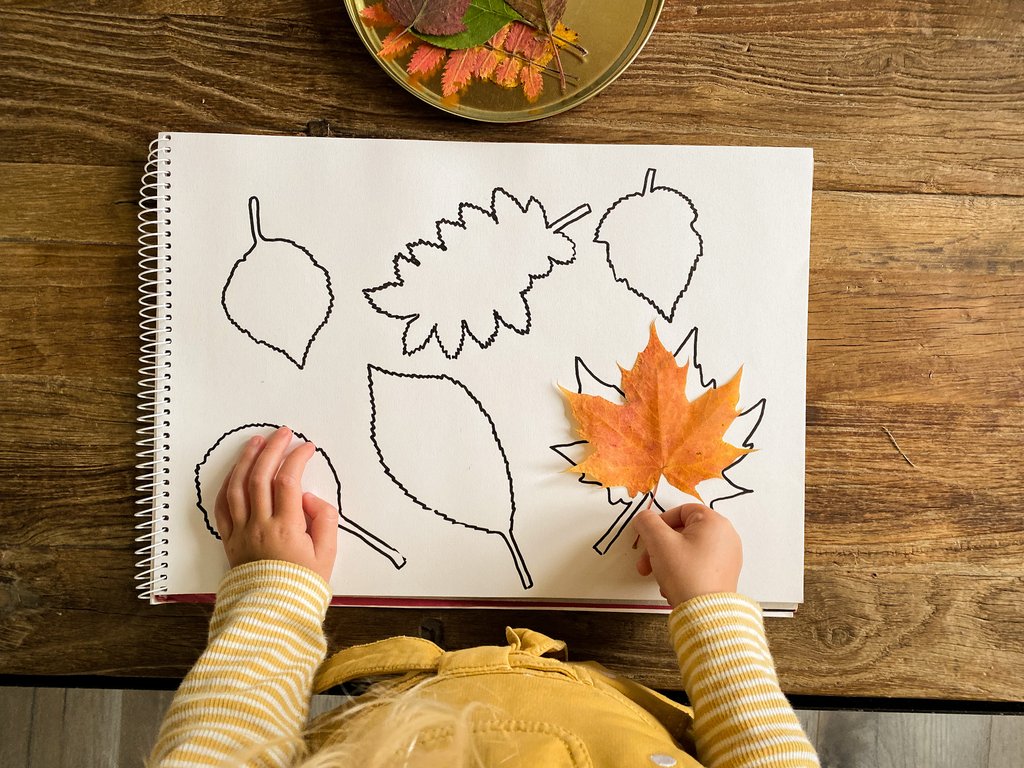 Die Magie des Herbstes auf Papier bringen: Ausmalbilder für kleine Künstler