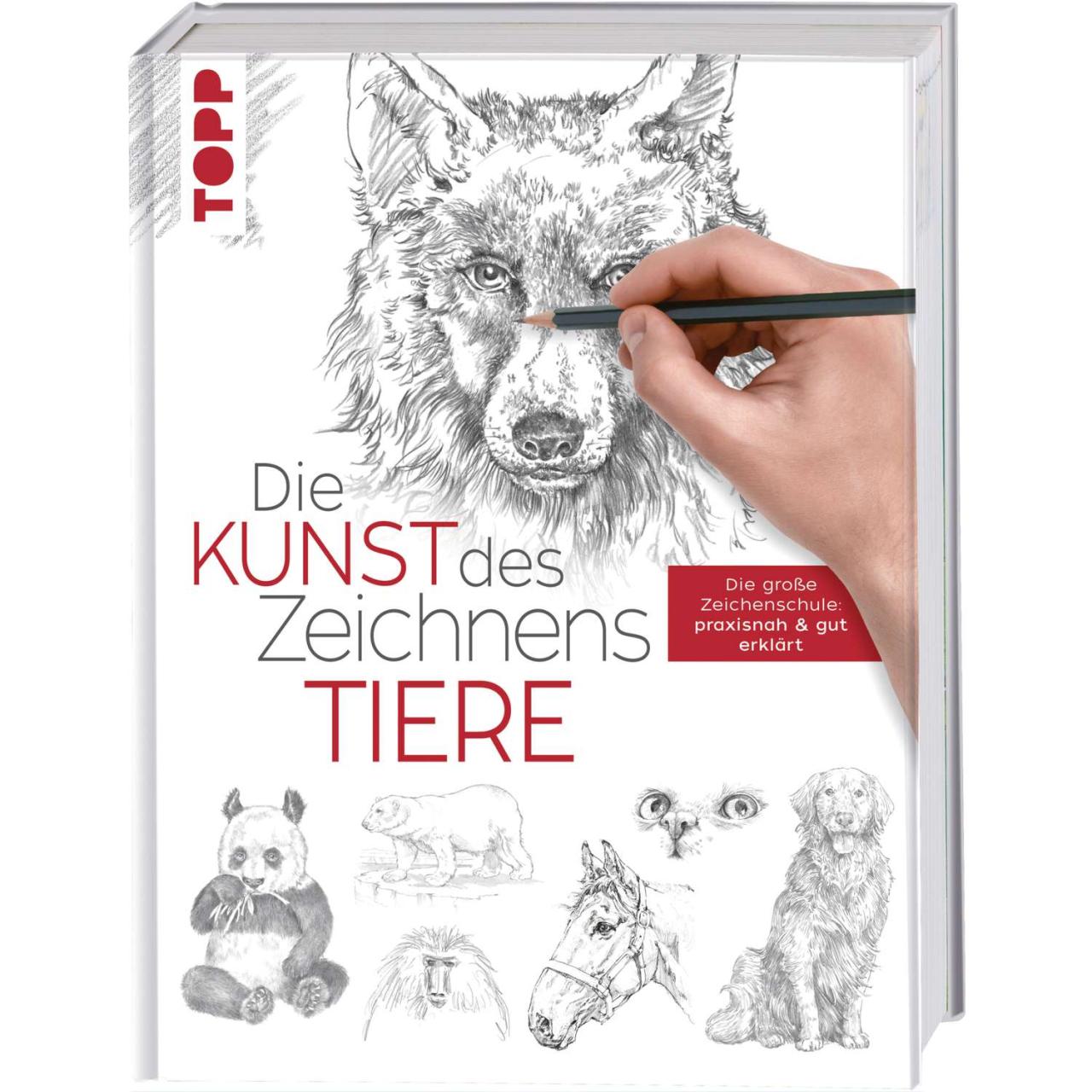 Die Magie des Zeichnens: Mit Hunden auf Entdeckungsreise