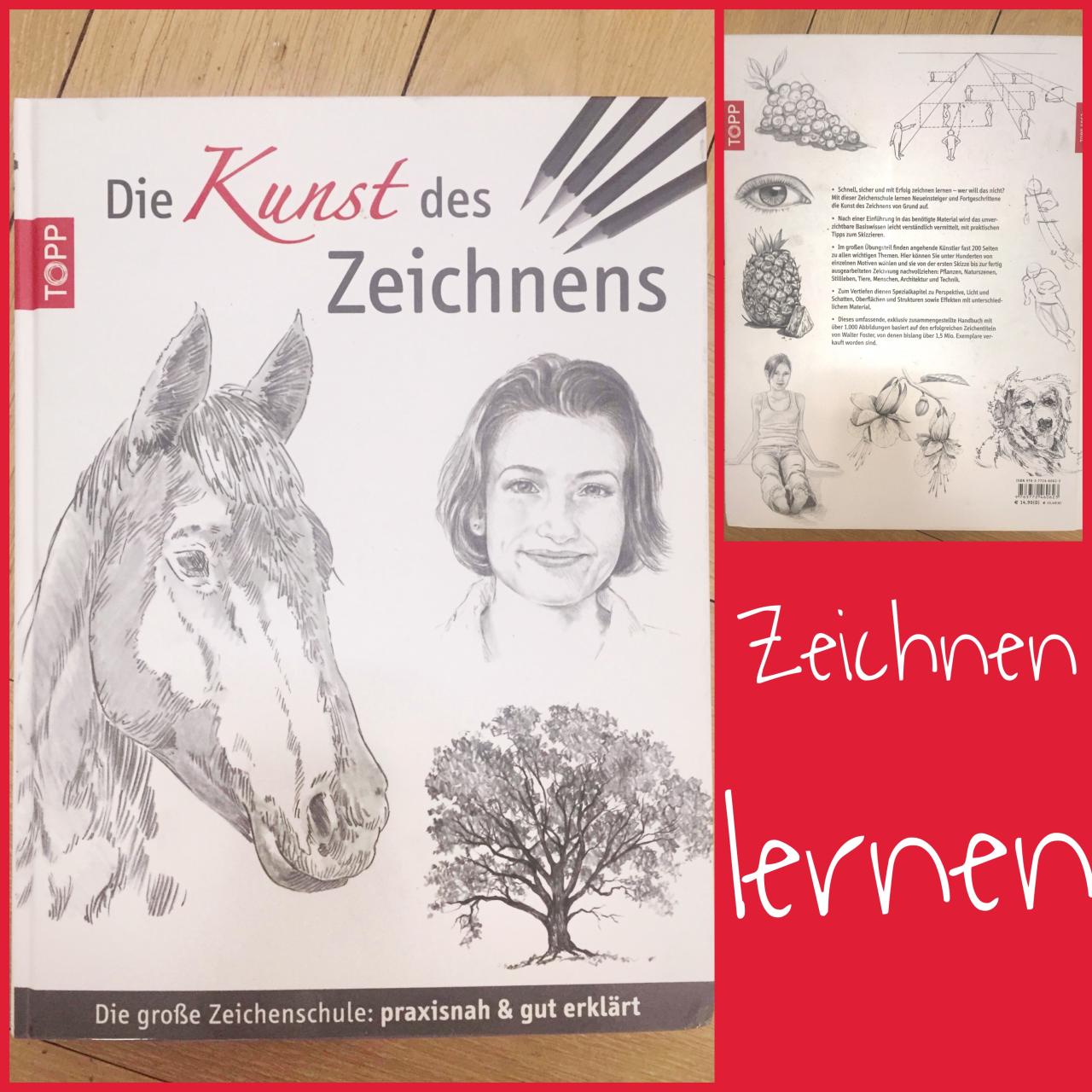 Die Magie des Zeichnens: Ein Zeichenlehrer erzählt