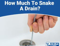 plumbing cost to snake drain