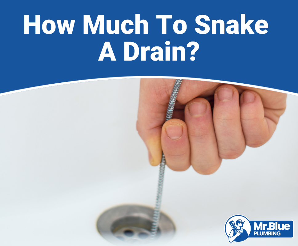 plumbing cost to snake drain