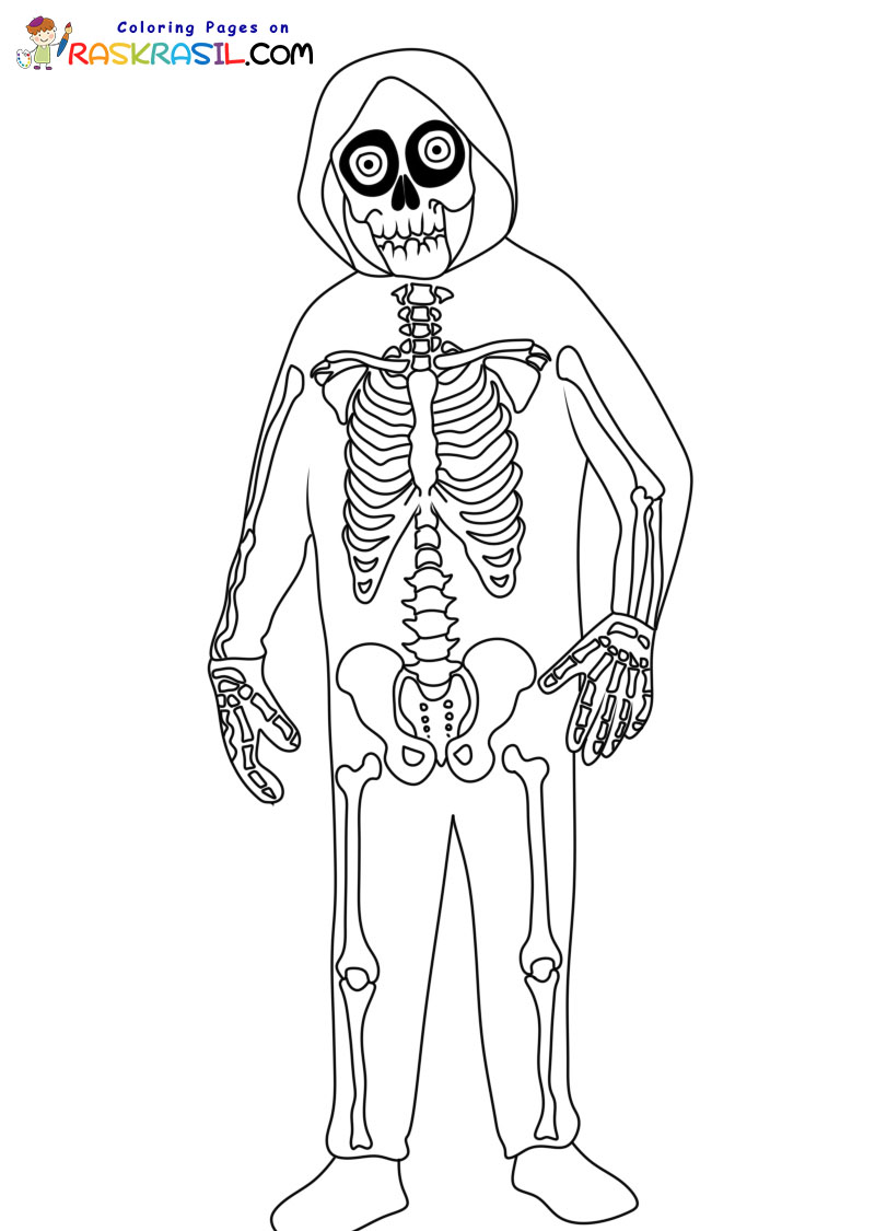 Skelette zum Ausmalen: Ein Fenster in die Anatomie und Fantasie