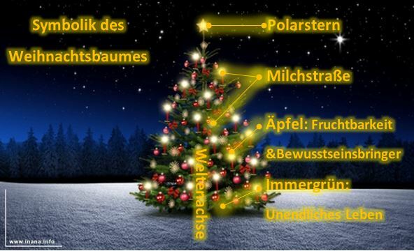 Die Magie des Weihnachtsbaums: Malen, Entdecken, Staunen