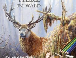 Die Magie der Malbücher: Tiere im Wald - Eine Reise in die Fantasie