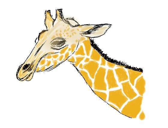 Die Giraffe: Ein Reiseführer durch die Welt des Zeichnens