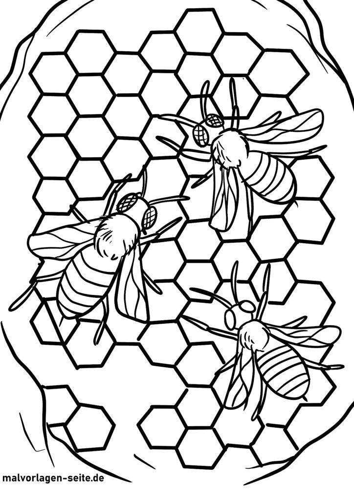 Die Welt der Bienen - Ein Abenteuer zum Ausmalen