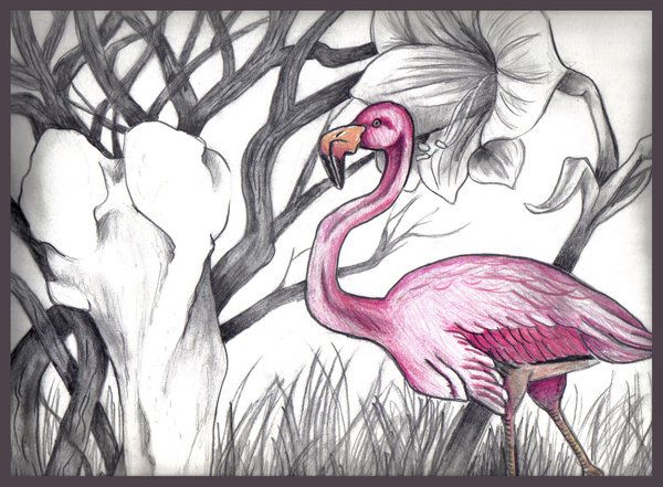 Die Magie des Zeichnens: Flamingos, Farben und Fantasie