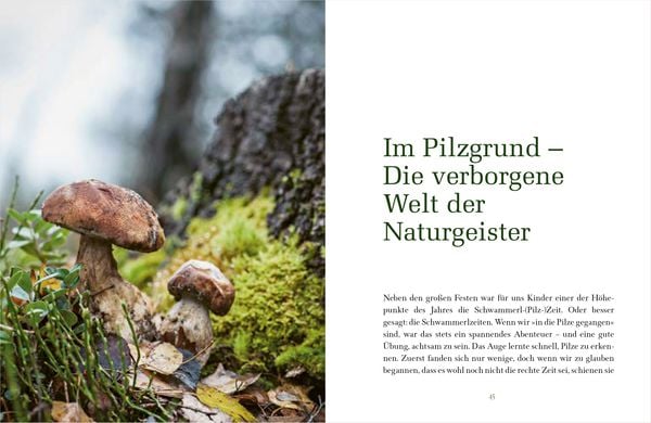 Die Magie des Waldes: Ein Malbuch für kleine Künstler