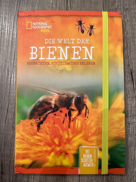 Die magische Welt der Bienen: Malen und Entdecken mit Kindern