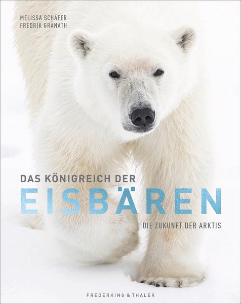 Malen mit Eisbären: Eine Reise in die Arktis für kleine Künstler