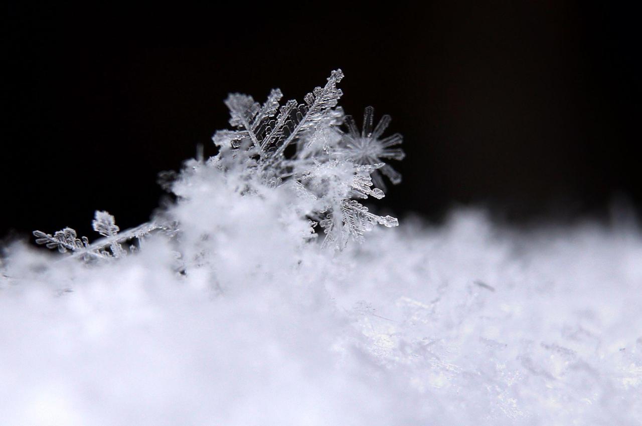 Die Magie der Schneeflocken: Ein Zeichenlehrer erzählt