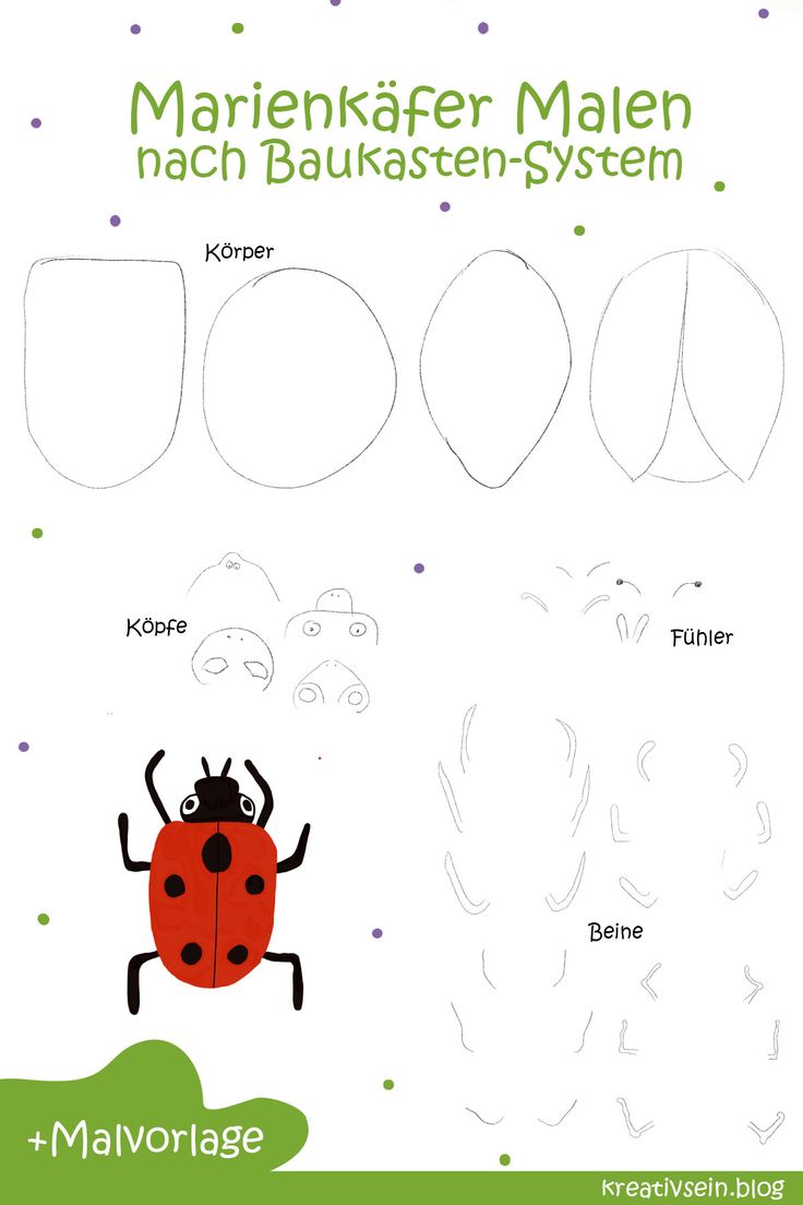 Die Magie des Zeichnens: Marienkäfer malen und die Fantasie entfesseln