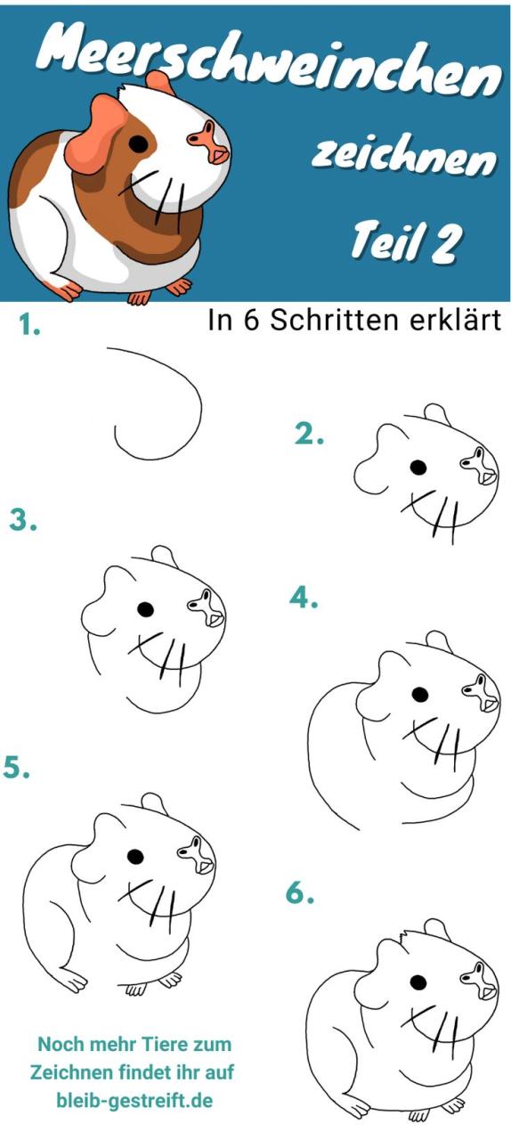 Die Welt der Meerschweinchen auf Papier erwecken: Ein Zeichenlehrer teilt seine Leidenschaft