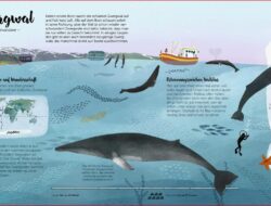 Tauche ein in die Welt der Wale: Malvorlagen für kleine Künstler