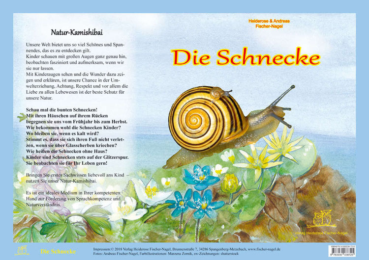 Die Schnecke: Ein kleiner Freund mit großem Potential