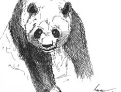 Die Magie des Zeichnens: Ein Panda als Türöffner zur Kreativität