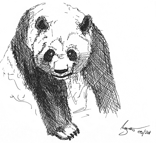 Die Magie des Zeichnens: Ein Panda als Türöffner zur Kreativität