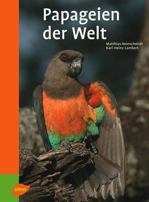 Die Welt der Papageien auf Papier erwecken: Ein Zeichenlehrer teilt seine Leidenschaft