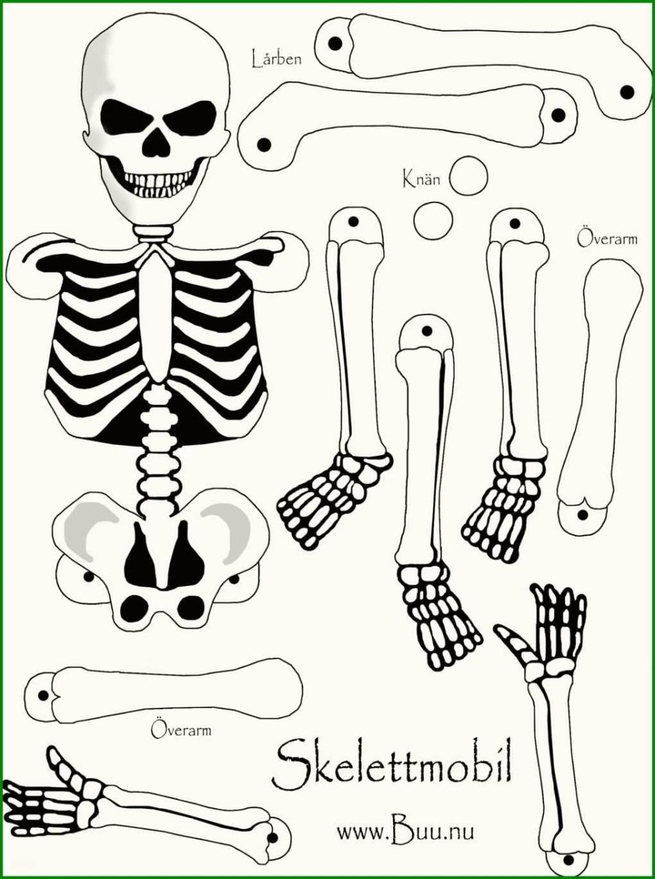 Skelette zum Ausmalen: Ein Fenster in die Anatomie und Fantasie