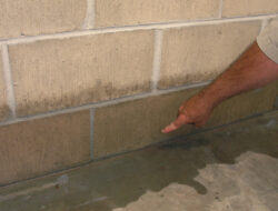 The Hidden Cost of a Soggy Basement: A Guide to Foundation Basement Waterproofing Costs