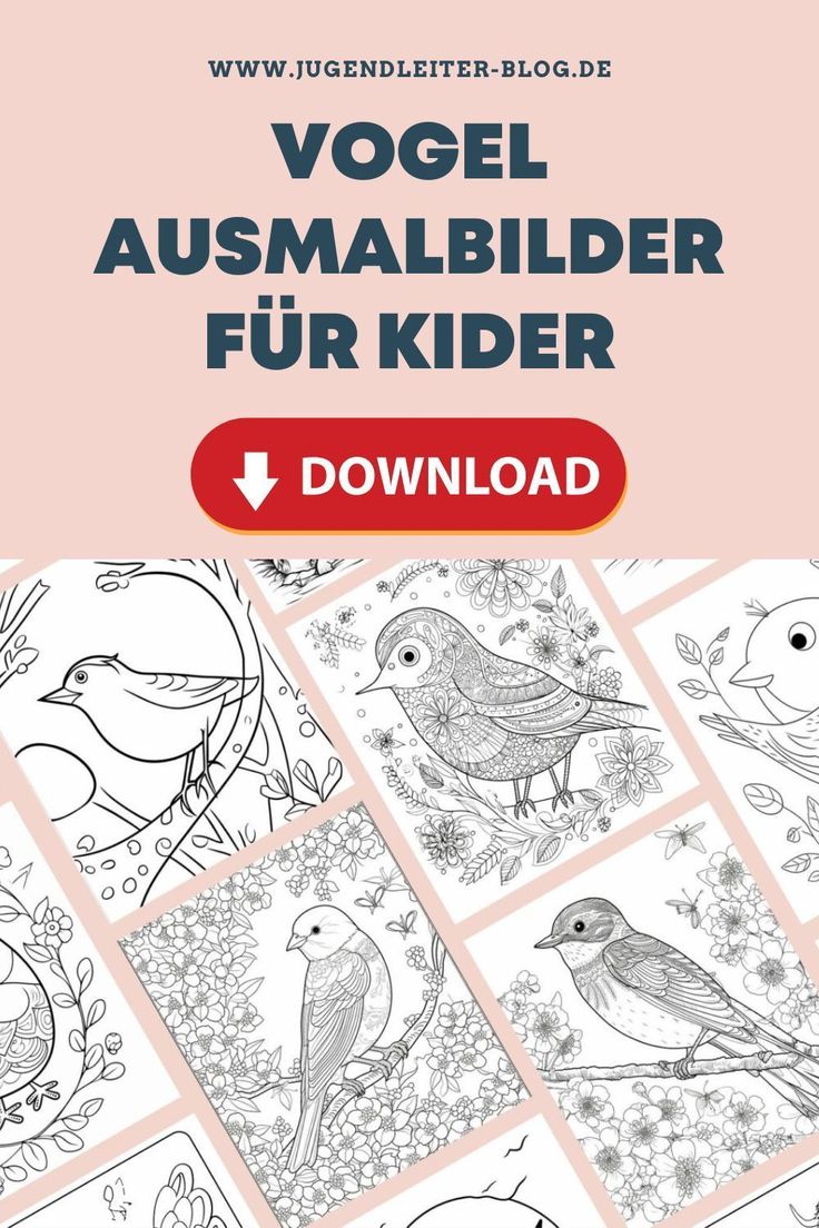 Die Welt der Vögel erkunden: Malen, lernen und Freude erleben