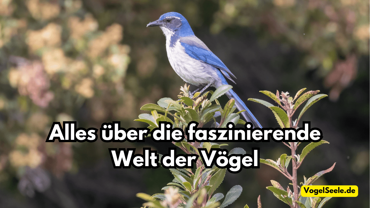 Die Welt der Vögel erkunden: Malen, lernen und Freude erleben