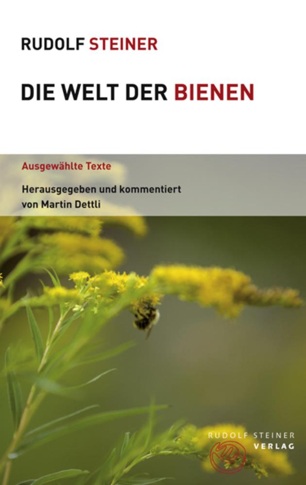 Die Welt der Bienen: Ein Malbuch für kleine Künstler