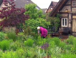 Tote Ecke im Garten gestalten: Eine Oase der Entspannung und des Genusses