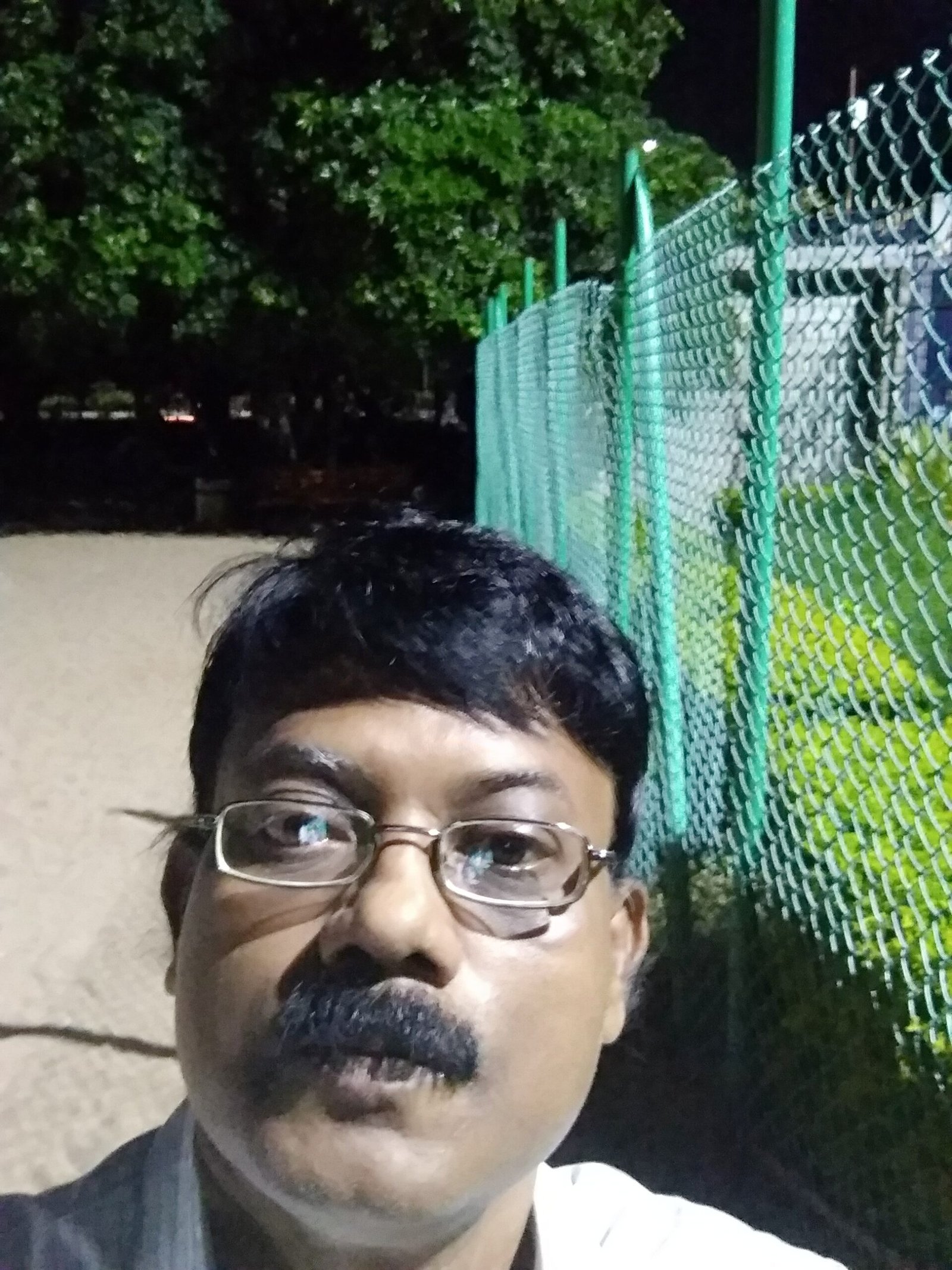 Printable Month At A Glance – Cousins and kalyanams hindi, kannada, malayalam, tamil, telugu web