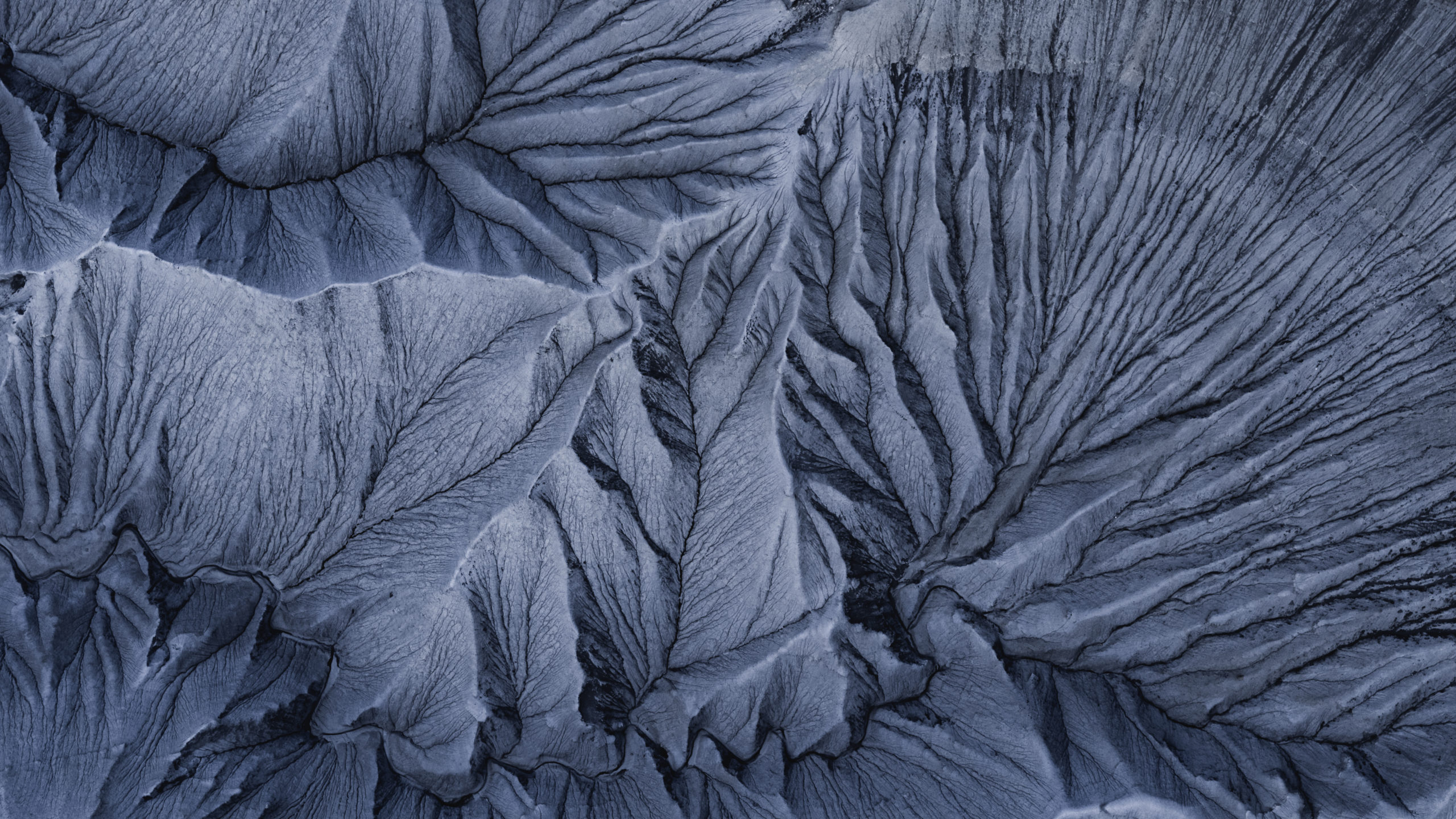 Printable Secret Agent Id Cards – 12 tips for abstract landscape photography