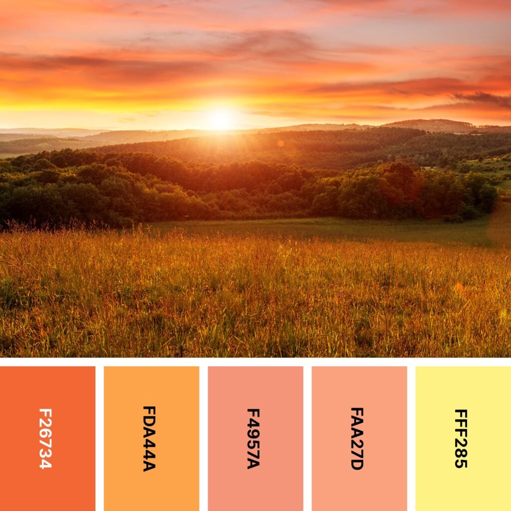 Printable World Map Black And White – 31 sunset color palettes for captivating designs