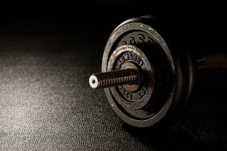 Free photo: training, sport, fit, sporty, fitness, fitness room, weight 