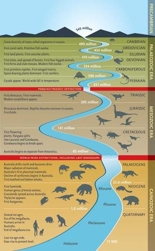 Arm And Hammer Cat Litter Coupons Printable – Jurassic geologic time period geologic time