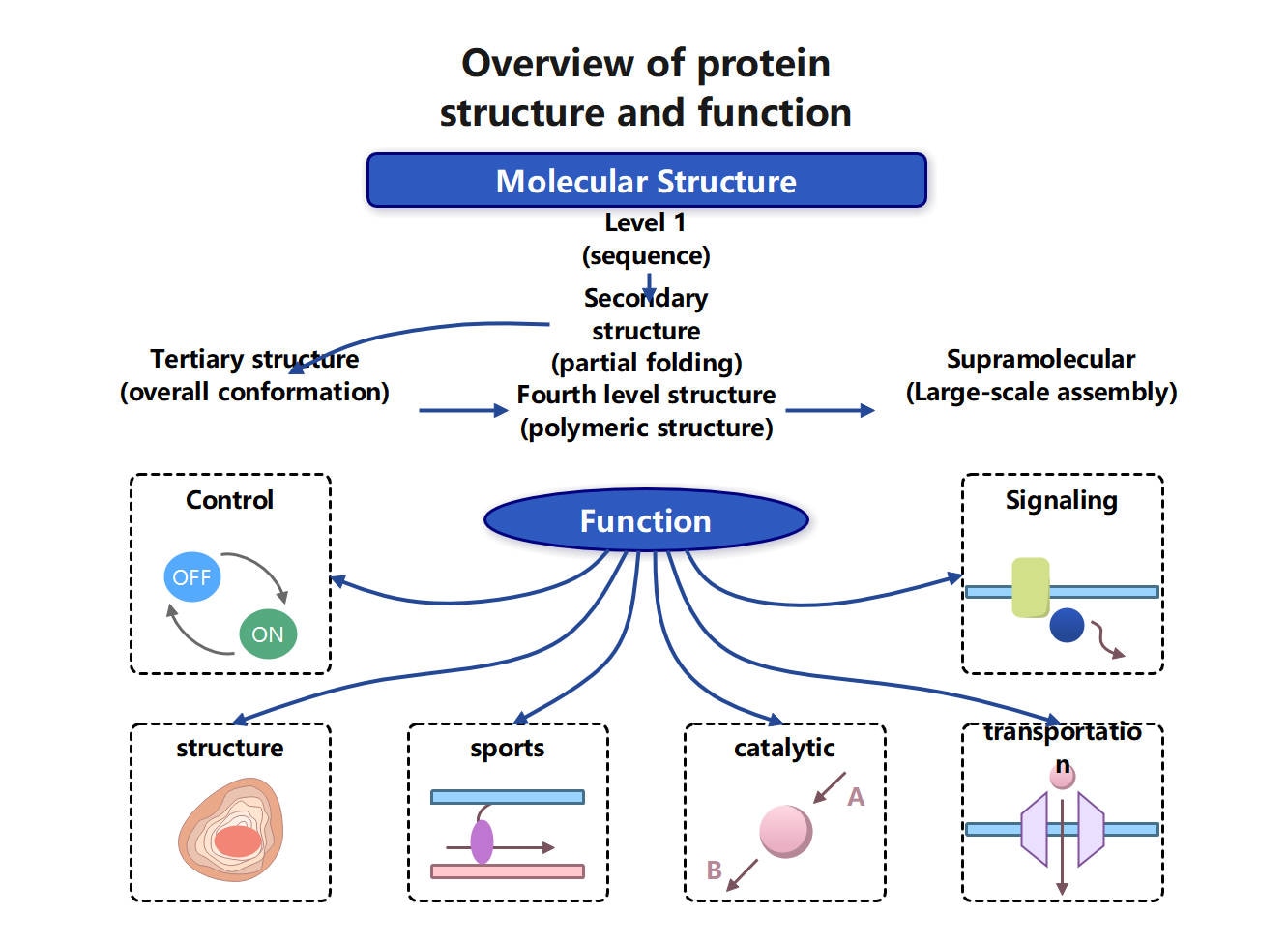 Printable Tic Tac Toe Board – Complete guide to protein timing: when to take protein for optimal