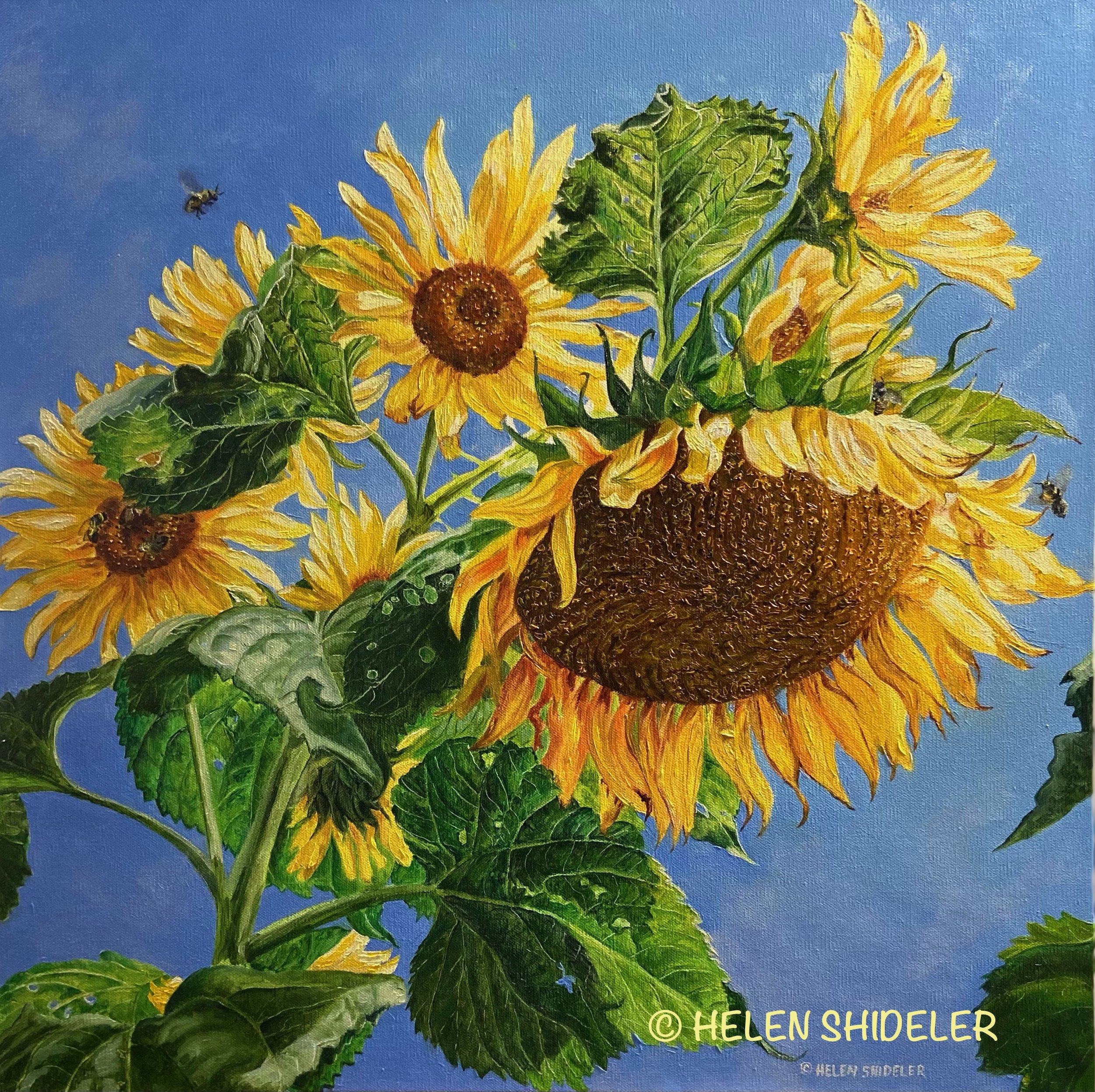 Das Wetter Orf Wien – Sunflower paintings abstract