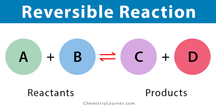 Hundred Years War History – what is a reversible reaction solution: new chemistry book notes class