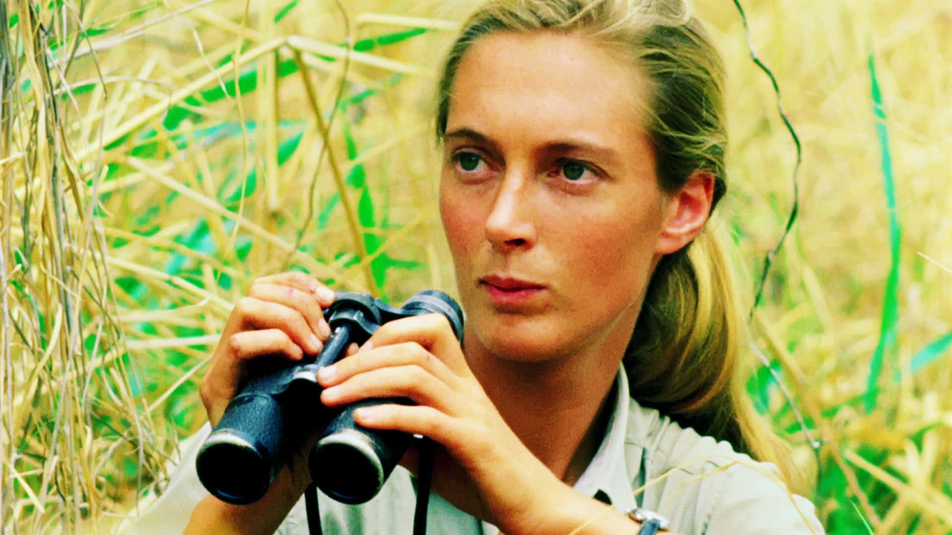 Jane Goodall: The Woman Who Changed How We See the Wild - My Lemon Magazine Bild & Inspiration Jane Goodall: The Woman Who Changed How We See the Wild - My Lemon Magazine